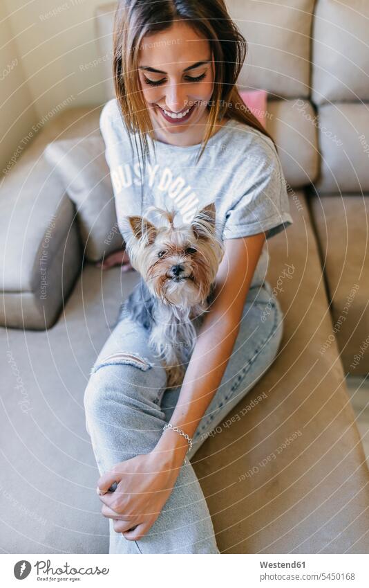 Lächelnde junge Frau sitzt mit ihrem Yorkshire Terrier auf der Couch Hund Hunde Sofa Couches Liege Sofas weiblich Frauen Haustier Haustiere Tier Tierwelt Tiere