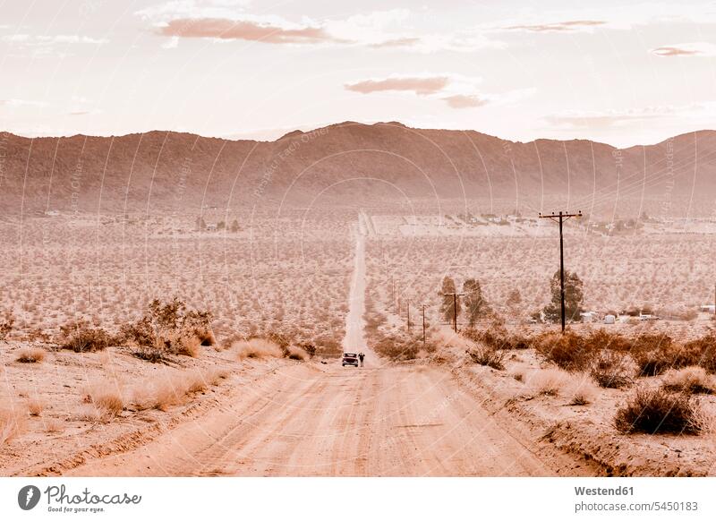 USA, Kalifornien, Joshua Tree, eine Straße durch die Wüste von Joshua Tree Autoreise Abgeschiedenheit Einsamkeit abgeschieden Reise Travel Notfall Notfälle