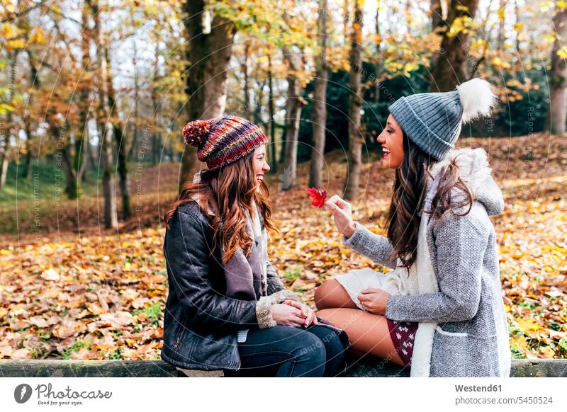 Zwei hübsche Frauen amüsieren sich in einem herbstlichen Wald Freundinnen Herbst Forst Wälder weiblich schön Spaß Spass Späße spassig Spässe spaßig Freunde