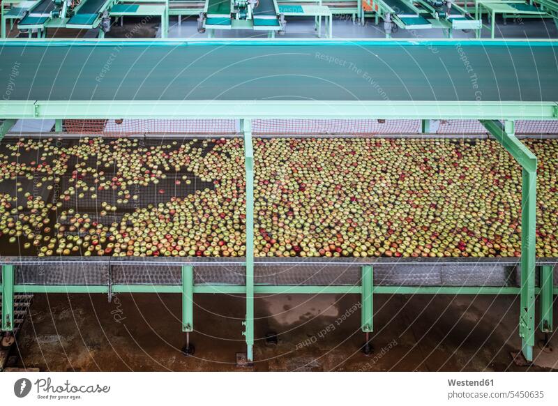 Äpfel in der Fabrik werden gewaschen reinigen Lebensmittelindustrie Ernährungsindustrie Nahrugsmittelindustrie Maschine Maschinen Automatisierung