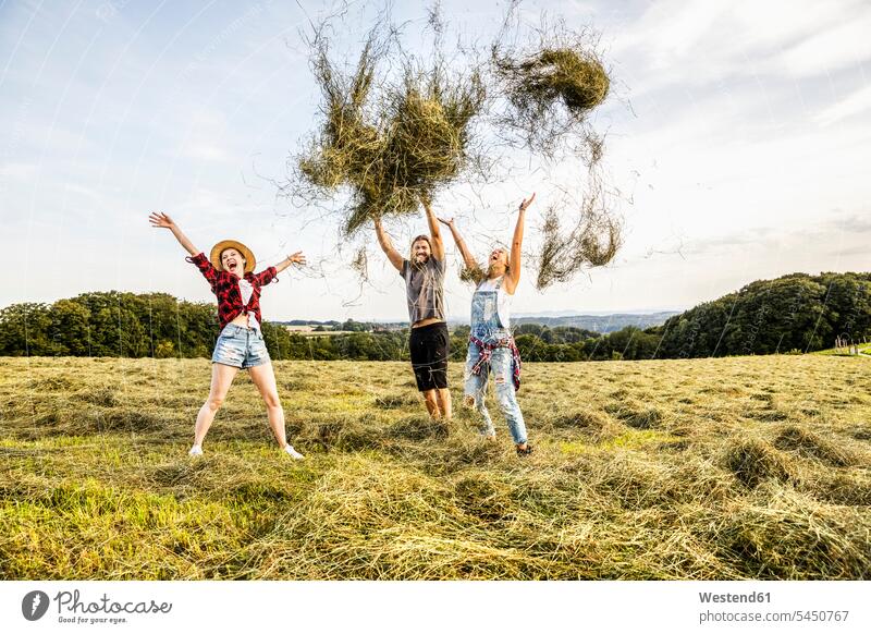 Sorglose Freunde, die Heu auf ein Feld werfen entspannt entspanntheit relaxt Felder ländlich auf dem Land auf dem Lande Wurf lachen Entspannung relaxen