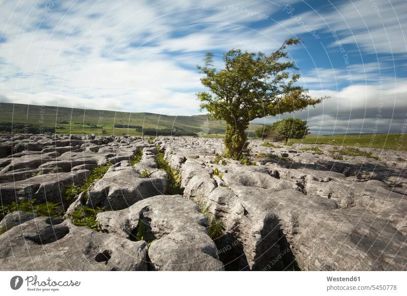 Großbritannien, England, Yorkshire Dales Nationalpark, Kalksteine Wolke Wolken Langzeitbelichtung Ruhe Beschaulichkeit ruhig Tag am Tag Tageslichtaufnahme
