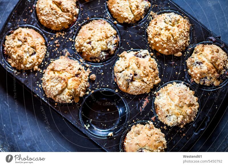 Muffins auf einem Backblech Food and Drink Lebensmittel Essen und Trinken Nahrungsmittel Muffinform selbstgemacht selbstgemachte hausgemacht gebacken