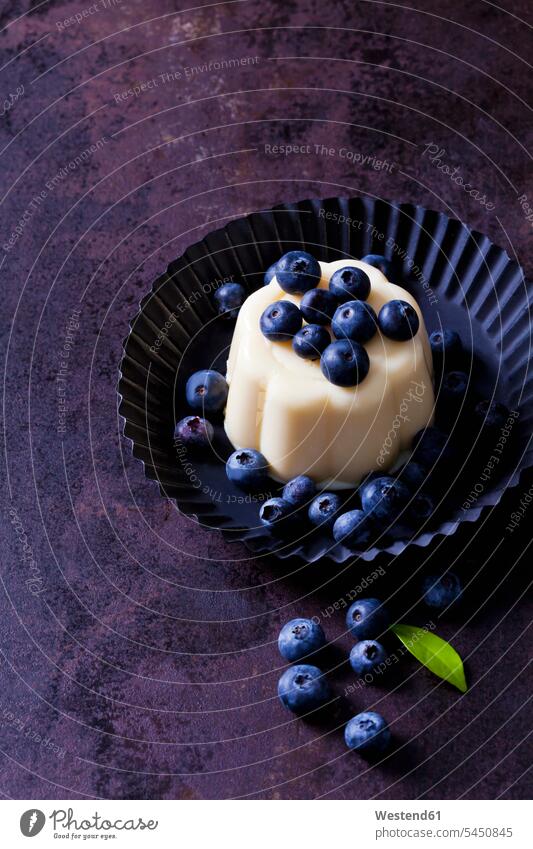 Vanillepudding mit Heidelbeeren in Tortenform Teller süß Süßes zubereitet angerichtet garniert servierfertig Blaubeeren verziert verziertes verzierter Dessert