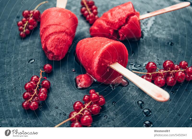 Hausgemachte Johannisbeer-Popsicles und rote Johannisbeeren auf Schiefer roter rotes Versuchung süß Süßes Eis Speiseeis fruchtig Fruchteis Früchteeis