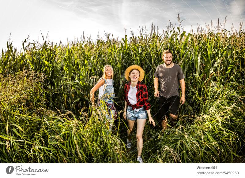 Glückliche Freunde in einem Maisfeld entspannt entspanntheit relaxt ländlich auf dem Land auf dem Lande Maisfelder lächeln Feld Felder lachen Entspannung