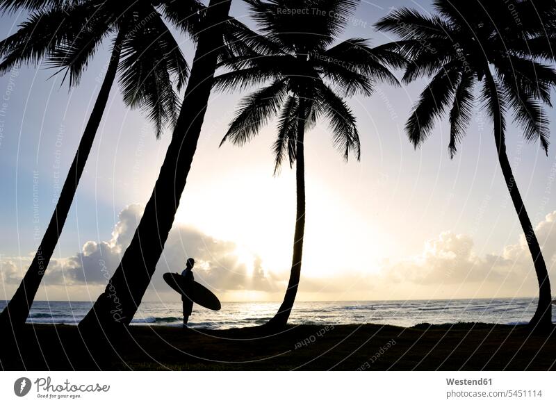 Dominikanische Republik, Silhouette von Palmen und Mann mit Surfbrett bei Sonnenuntergang Strand Beach Straende Strände Beaches Männer männlich Erwachsener