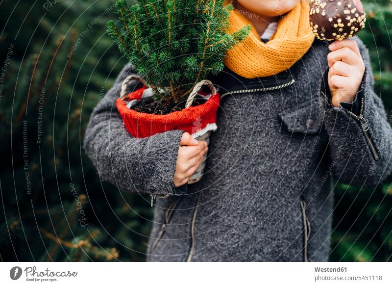 Glücklicher Junge bereitet sich auf Weihnachten vor, hält Topfbaum, isst schokoladengetränkten Apfel Nordeuropäer Nordeuropäisch Weihnachtsbaum Christbaum