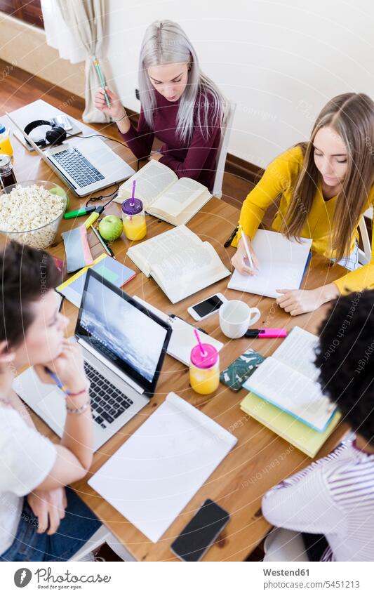Gruppe von Studentinnen, die zu Hause am Tisch zusammenarbeiten Zuhause Gemeinsam Frau Teamwork Bildung Erwachsener Mensch Laptop Verbindung Kaffeetasse