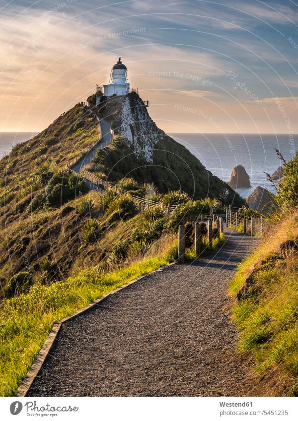 Neuseeland, Südinsel, Südliche Landschaftsroute, Catlins, Leuchtturm von Nugget Point Region Otago Landschaftsaufnahme Landschaftsfotografie Weg Wege Pfad