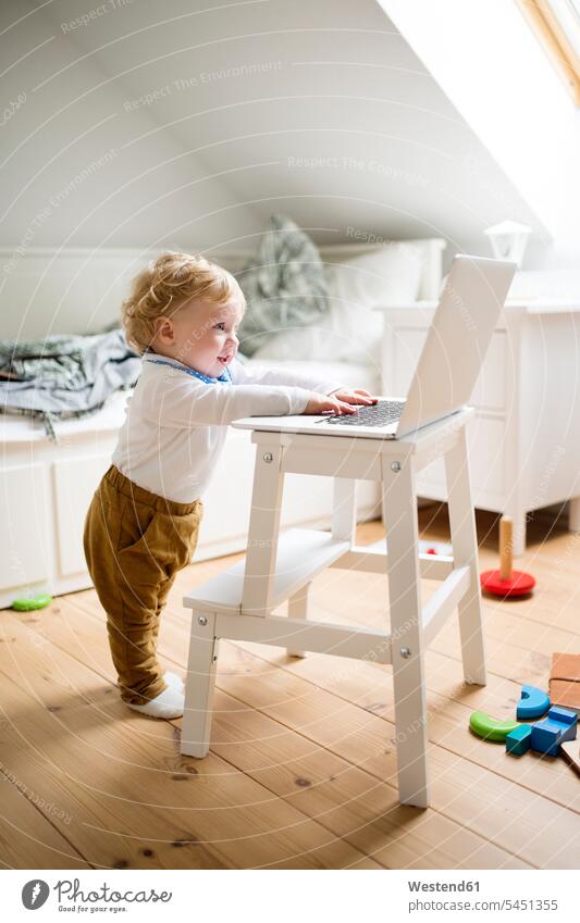 Kleiner Junge spielt zu Hause mit Laptop spielen Notebook Laptops Notebooks Computer Rechner Zuhause daheim 12-17 Monate 12 bis 17 Monate 12 - 17 Monate blond