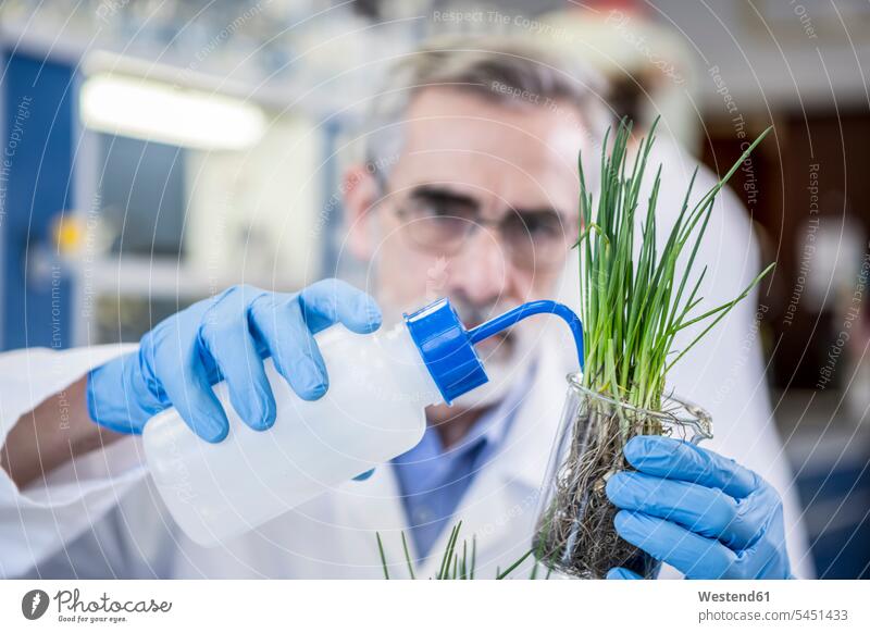 Wissenschaftlerin in Laborbewässerungsanlage wissenschaftlich Wissenschaften Labore Pflanze Pflanzenwelt Flora bewässern Arbeitsplatz Arbeitsstätte Arbeitstelle