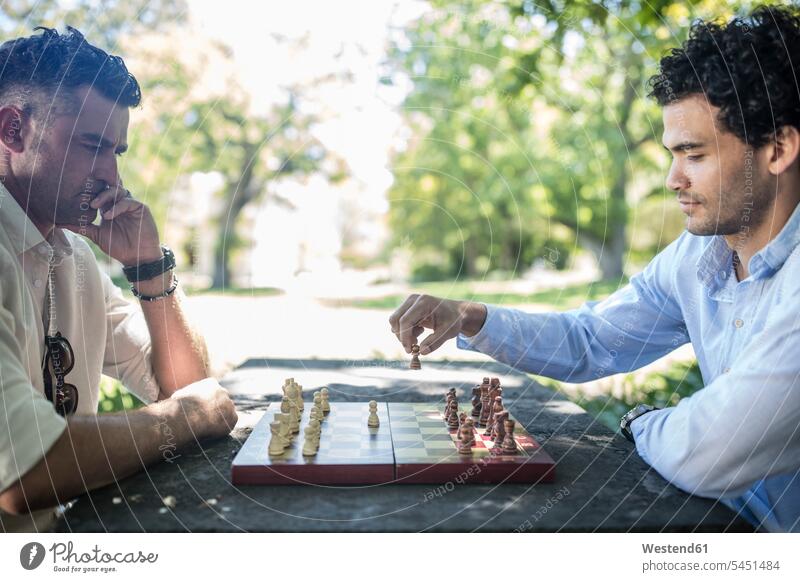 Zwei Männer spielen Schachspiel im Park Mann männlich Brettspiel Brettspiele Gesellschaftsspiel Gesellschaftsspiele Spiel Spiele Erwachsener erwachsen Mensch