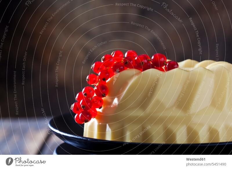 Custard mit roten Johannisbeeren auf Teller Ausschnitt Teil Teilansicht Teilabschnitt Anschnitt Teil von Detail rote Johannisbeeren Dessert Nachspeise Desserts