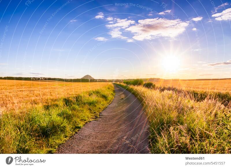 Großbritannien, Schottland, East Lothian, Feldweg zwischen Gerstenfeldern bei Sonnenuntergang Textfreiraum Ruhe Beschaulichkeit ruhig Abendlicht