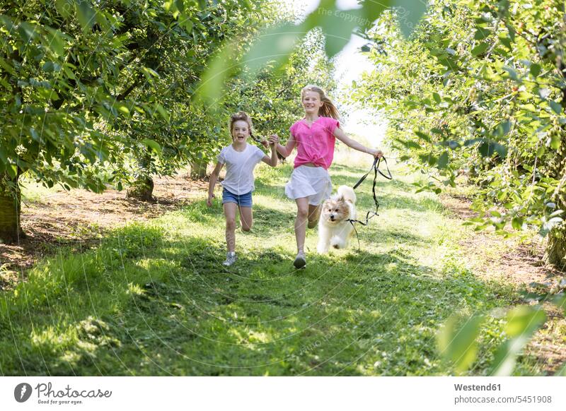 Zwei glückliche Schwestern rennen mit Hund auf der Wiese Wiesen laufen Garten Gärten Gaerten Hunde Mädchen weiblich Glück glücklich sein glücklichsein
