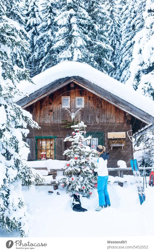 Österreich, Altenmarkt-Zauchensee, Frau beim Schmücken des Weihnachtsbaums in der Hütte Holzhaus Holzhäuser Holzhaeuser dekorieren weiblich Frauen Weihnachten
