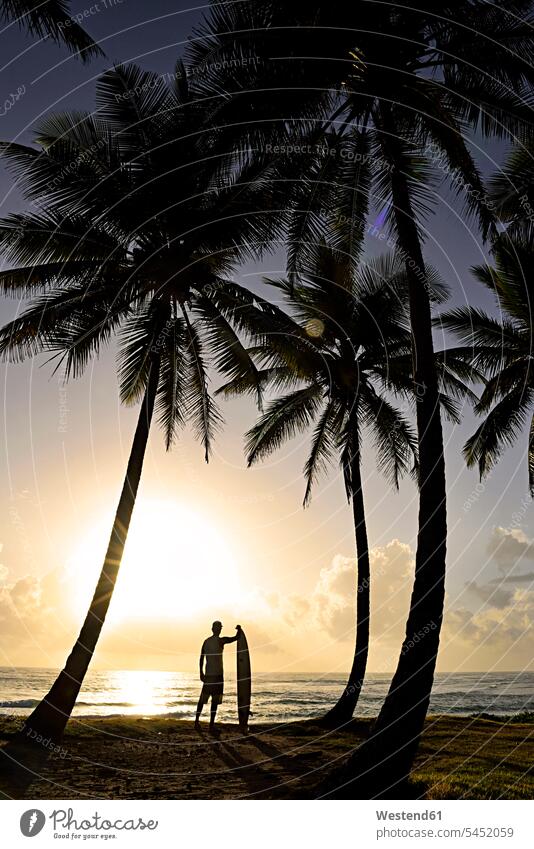 Dominikanische Republik, Silhouette von Palmen und Mann mit Surfbrett bei Sonnenuntergang Strand Beach Straende Strände Beaches Männer männlich Erwachsener