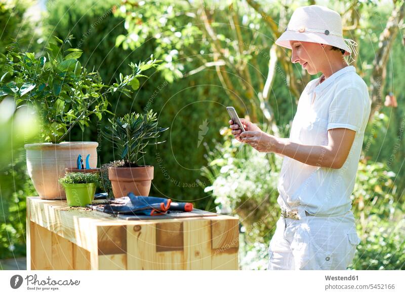 Frau macht Handyfoto von eingetopftem Oleander bei Tisch im Garten pflanzen anpflanzen Pflanzensetzen fotografieren weiblich Frauen Gärten Gaerten Smartphone