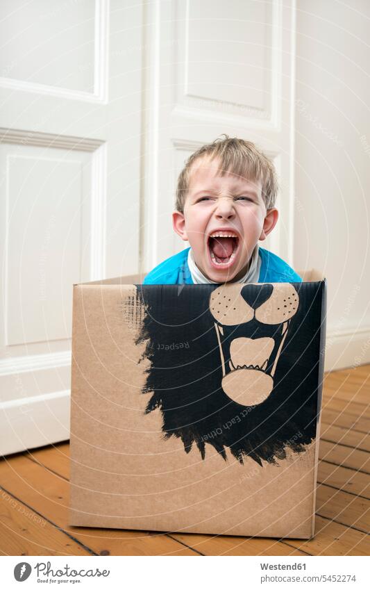 Brüllender Junge in einem mit einem Löwen bemalten Pappkarton Karton Pappkartons Kartons Buben Knabe Jungen Knaben männlich spielen schreien rufen rufend Schrei