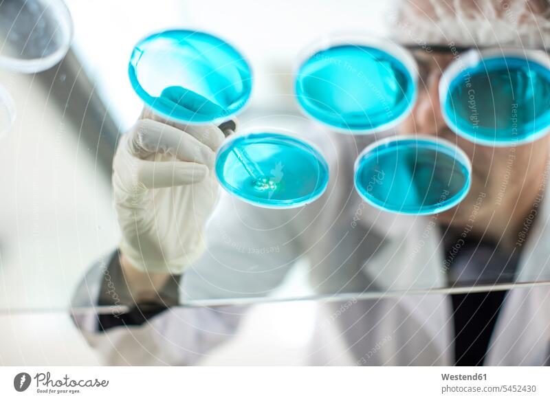 Wissenschaftlerin, die im Labor mit Pipette und Petrischalen arbeitet Labore Test testen überprüfen ueberpruefen wissenschaftlich Wissenschaften Pipetten
