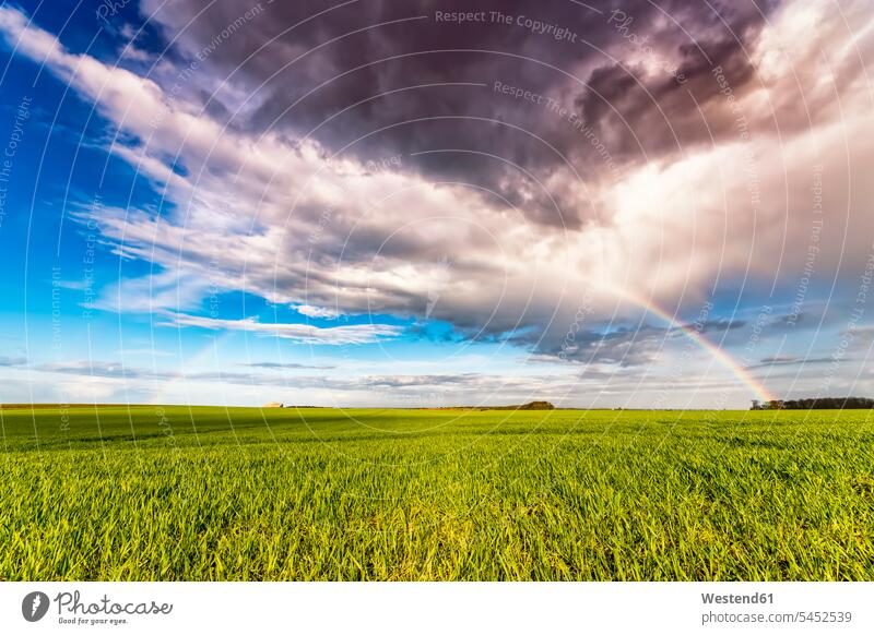 Großbritannien, Schottland, East Lothian, Regenbogen über dem Feld Niemand bewölkt Bewölkung Wolke bedeckt Wolken Bewoelkung wolkig bewoelkt Horizont Horizonte