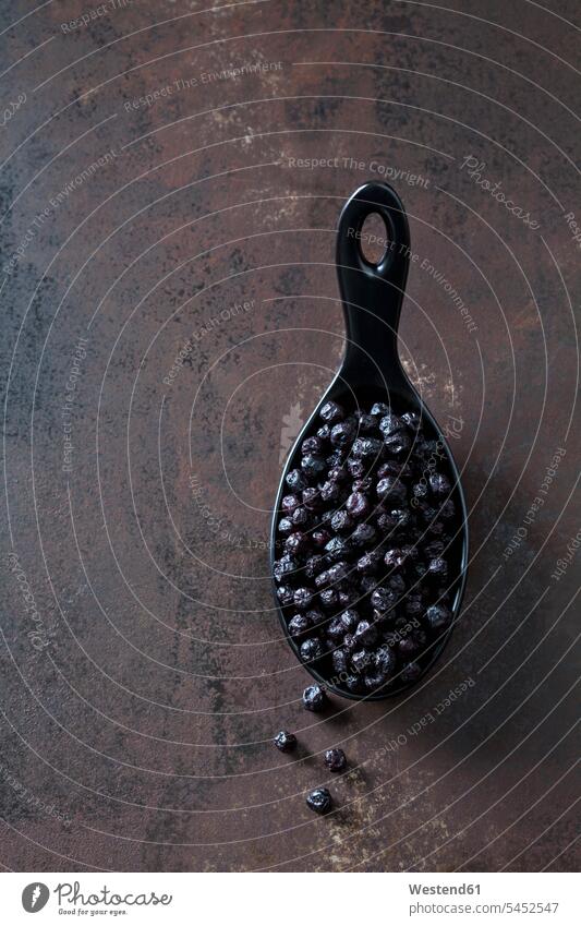 Löffel getrocknete Aroniabeeren auf rostigem Metall schwarz schwarzer schwarzen schwarzes glänzend glaenzend Glanz getrocknetes getrockneter Trockenfrüchte