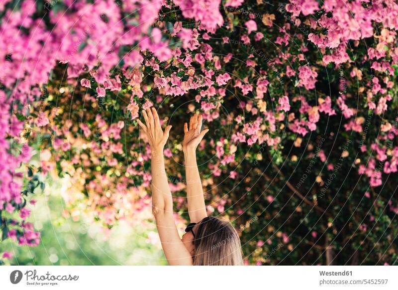 Frau greift im Park nach rosa Blüten blühen erblühen blühend ausstrecken ergreifen weiblich Frauen Erwachsener erwachsen Mensch Menschen Leute People Personen