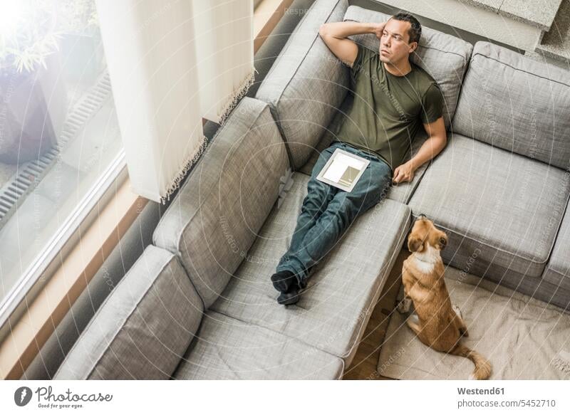 Mann zu Hause mit Tablette auf der Couch mit Hund neben sich Sofa Couches Liege Sofas Tablet Computer Tablet-PC Tablet PC iPad Tablet-Computer Männer männlich