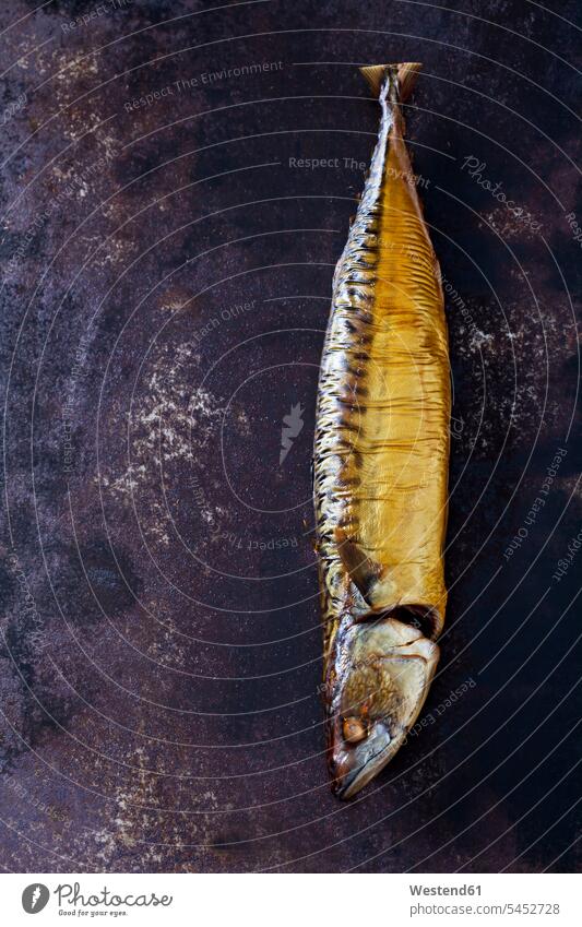 Geräucherte Makrele auf rostigem Boden dunkler Hintergrund Totes Tier Tote Tiere golden goldfarben goldfarbene geräuchert glänzend glaenzend Glanz Textfreiraum