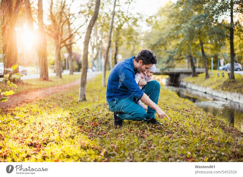 Vater sucht im Park nach Kastanien, mit der kleinen Tochter auf dem Schoss Papas Väter Vati Vatis Papis halten Töchter Spaziergang Castanea spielen sammeln