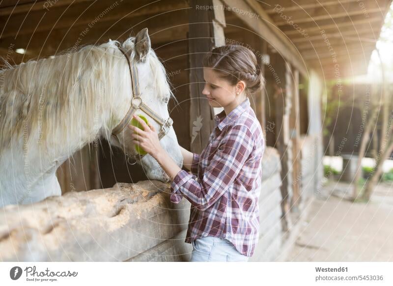 Lächelnde Frau kümmert sich um ein Pferd auf einem Bauernhof weiblich Frauen Equus caballus Pferde Fürsorge kümmern fürsorglich Pflege lächeln Farmen