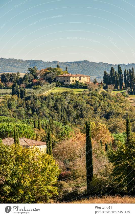 Italien, Toskana, Kulturlandschaft mit Pinien und Zypressen typisch Ruhe Beschaulichkeit ruhig Tag am Tag Tageslichtaufnahme tagsueber Tagesaufnahmen