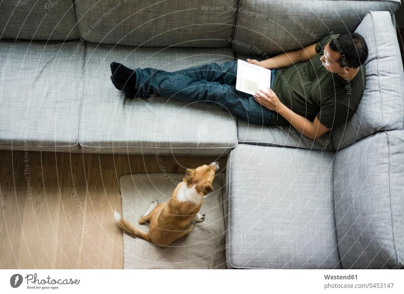 Mann zu Hause mit Tablette auf der Couch mit Hund neben sich entspannt entspanntheit relaxt Männer männlich Tablet Computer Tablet-PC Tablet PC iPad