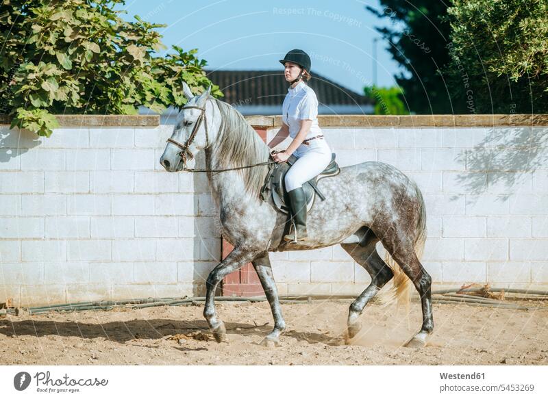 Junge Frau reitet zu Pferd Reiterin Reiterinnen Equus caballus Pferde reiten Pferdesport Reitsport Säugetier Mammalia Saeugetiere Säugetiere Tier Tierwelt Tiere