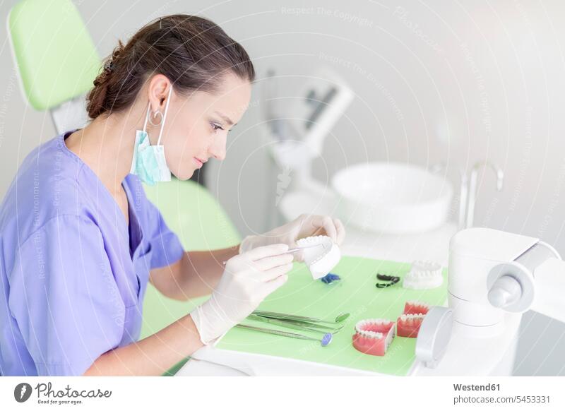 Zahntechniker, der beim Zahnabdruck arbeitet Gebissabdruck Frau weiblich Frauen arbeiten Arbeit Zahntechnikerin Zahntechnikerinnen Erwachsener erwachsen Mensch