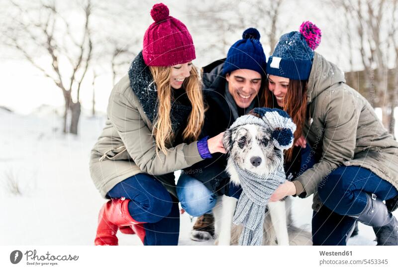 Drei Freunde amüsieren sich mit ihrem Border Collie im Schnee Hund Hunde spielen Winter winterlich Winterzeit Spaß Spass Späße spassig Spässe spaßig Haustier
