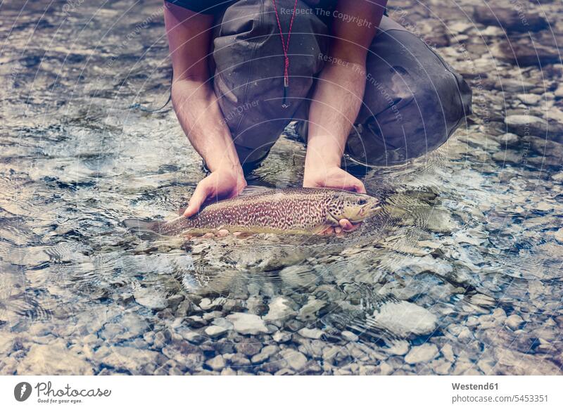 Slowenien, Fliegenfischen im Fluss Soca beim Fangen eines Fisches angeln angelt angelnd Angler fangen fangend Pisces Mann Männer männlich Fluesse Fluß Flüsse