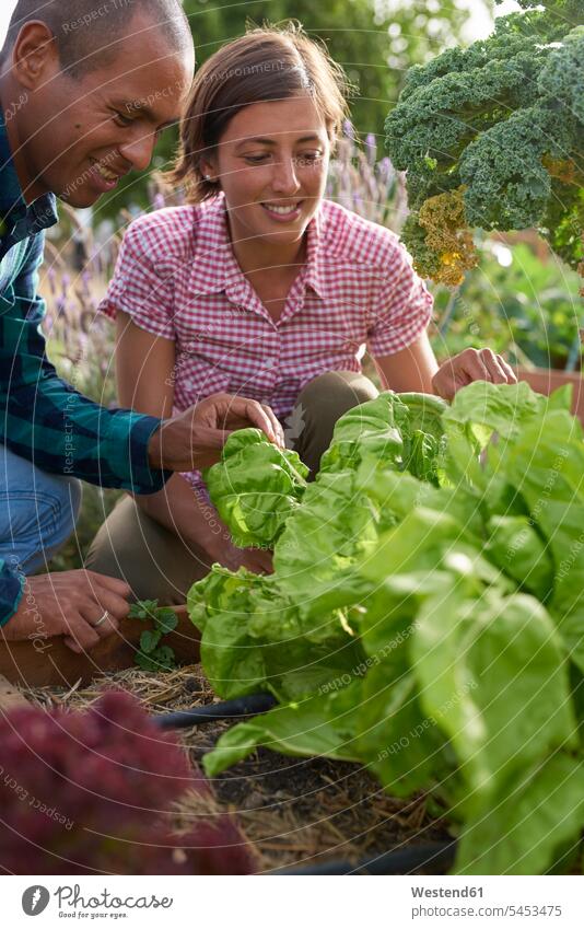 Junge Bauern ernten Salat Portrait Porträts Portraits Ernte Garten Gärten Gaerten Erntezeit Landarbeit arbeiten Arbeit Landwirte Gärtner Salate Landwirtschaft