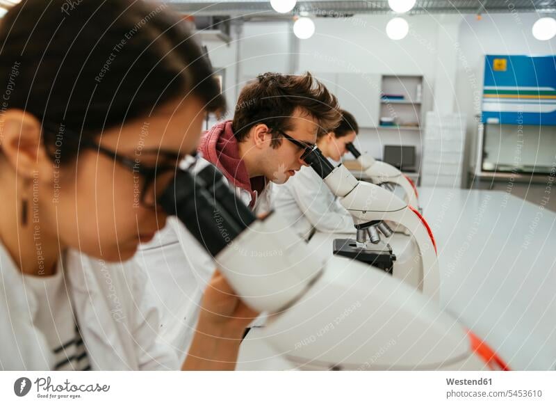 Labortechniker mit Mikroskopen im Labor untersuchen arbeiten Laborant Untersuchung Arbeitsplatz Wissenschaft Laborkittel differenzierter Fokus Kollegin