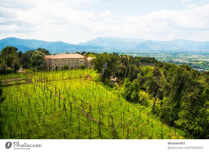 Italien, Latium, Provinz Frosinone, Weinberg in der Nähe von Cassino Weinbaugebiet Weinanbaugebiet Weinanbaugebiete Weingut Weingüter Weingueter ländlich