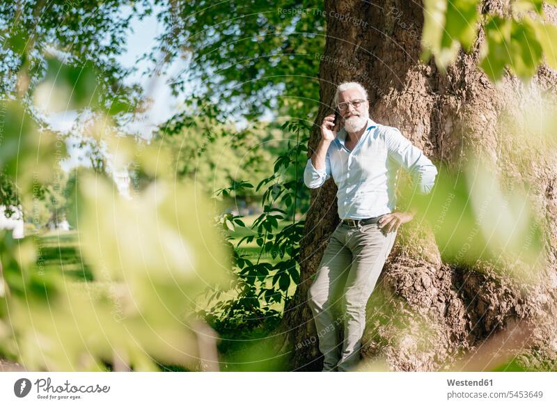 Reifer Mann am Handy, der sich an einen Baum lehnt Portrait Porträts Portraits Bäume Baeume telefonieren anrufen Anruf telephonieren Mobiltelefon Handies Handys