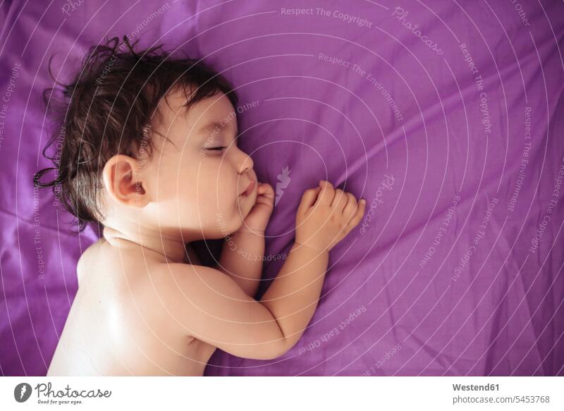 Schlafender Säugling auf violettem Bettlaken Mädchen weibliche Babys weibliches Baby weibliche Babies Kind Kinder Mensch Menschen Leute People Personen liegen