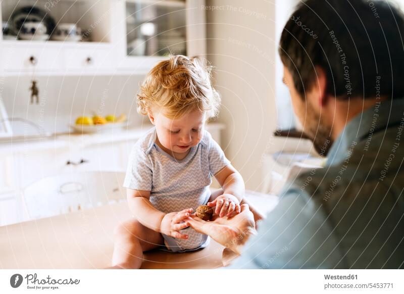 Vater mit kleinem Jungen sitzt auf dem Küchentisch und untersucht Walnuss Baby Babies Babys Säuglinge Kind Kinder Papas Väter Vati Vatis Papis Walnueße
