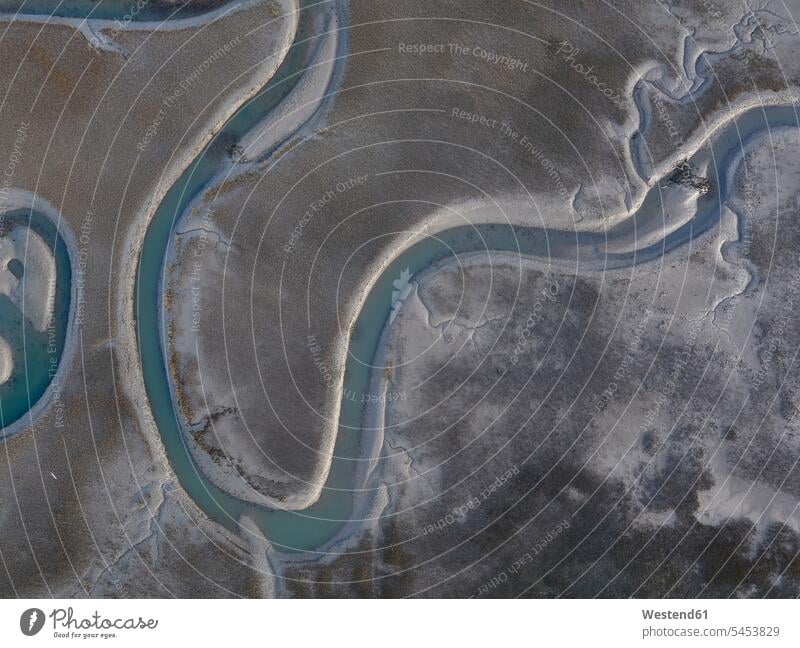 USA, Luftaufnahme eines Baumwollfeldes an der Ostküste von Virginia Küste Kueste Kuesten Küsten Eastern Shore of Virginia Luftaufnahmen Vogelperspektive