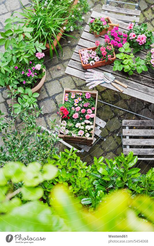 Gartenarbeit, Anpflanzung von Sommerblumen Deutschland verschieden verschiedene Naturverbundenheit naturverbunden Naturliebe Gartengerät Gartengeraete