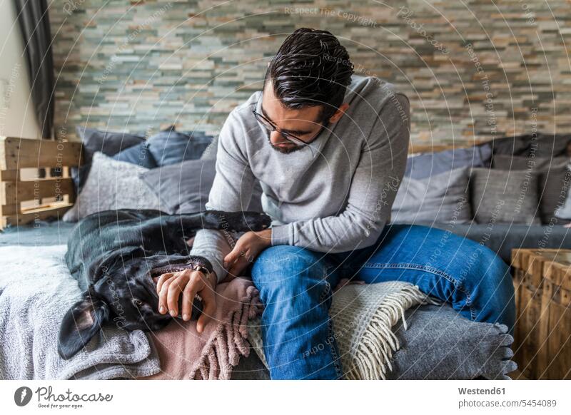 Mann spielt mit seinem Hund zu Hause auf der Couch Hunde Männer männlich spielen Haustier Haustiere Tier Tierwelt Tiere Erwachsener erwachsen Mensch Menschen