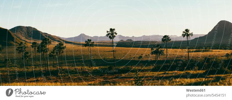 Brasilien, Alto Paraiso de Goias, Landschaft im Morgengrauen Schönheit der Natur Schoenheit der Natur Weite Textfreiraum weit wolkenlos ohne Wolken Reiseziel
