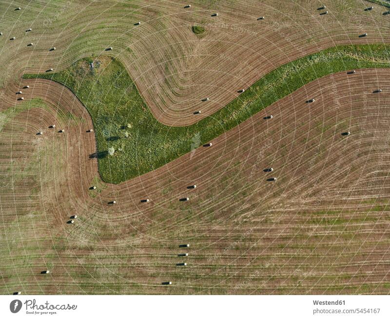 USA, Luftaufnahme von Konturwirtschaft und Heuballen in Montana Ernte ernten Luftaufnahmen Vogelperspektive Luftbild Luftbilder Tag am Tag Tageslichtaufnahme