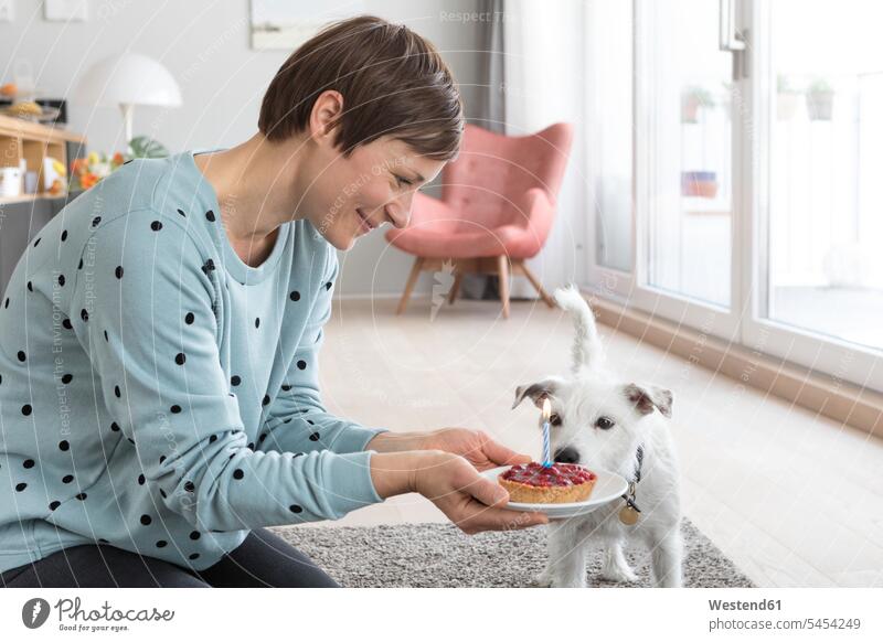 Lächelnde Frau überreicht ihrem Hund einen Geburtstagskuchen Hunde weiblich Frauen Haustier Haustiere Tier Tierwelt Tiere Erwachsener erwachsen Mensch Menschen